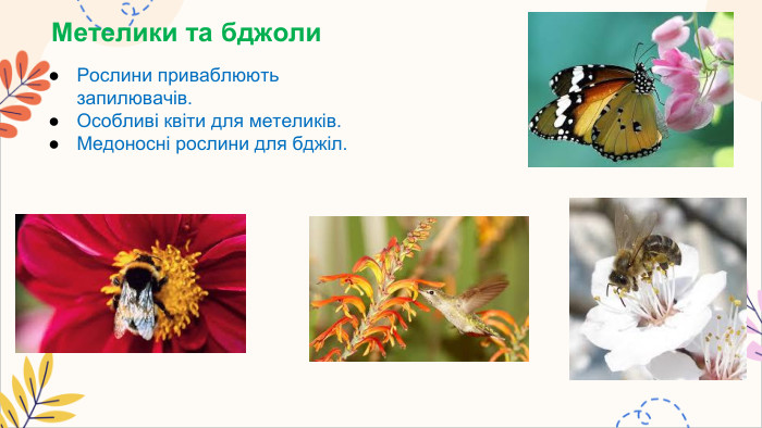 Метелики та бджоли. Рослини приваблюють запилювачів. Особливі квіти для метеликів. Медоносні рослини для бджіл.