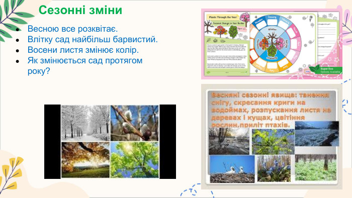Сезонні зміни. Весною все розквітає. Влітку сад найбільш барвистий. Восени листя змінює колір. Як змінюється сад протягом року?