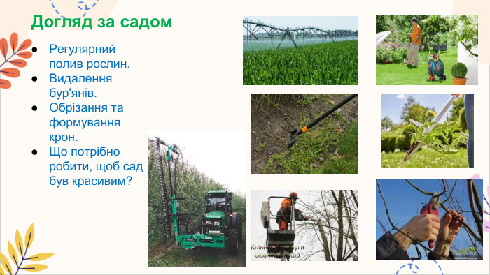 Догляд за садом. Регулярний полив рослин. Видалення бур'янів. Обрізання та формування крон. Що потрібно робити, щоб сад був красивим?