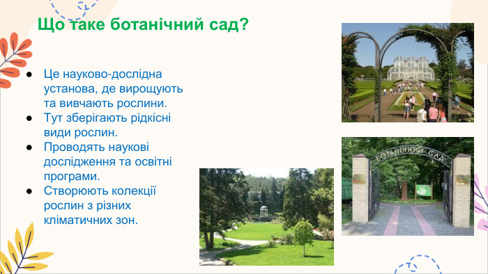 Що таке ботанічний сад?Це науково-дослідна установа, де вирощують та вивчають рослини. Тут зберігають рідкісні види рослин. Проводять наукові дослідження та освітні програми. Створюють колекції рослин з різних кліматичних зон.