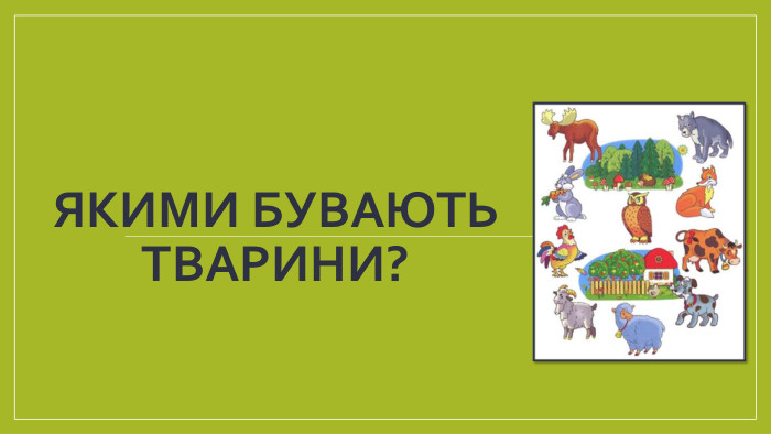 Якими бувають тварини? 