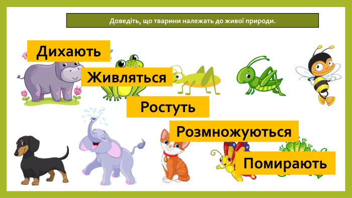 14.05.2026 СьогодніДоведіть, що тварини належать до живої природи. Ростуть. Дихають. Живляться. Розмножуються. Помирають