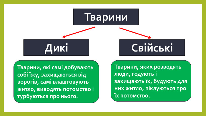 с.74 Тварини. ДикіСвійськіТварини, які самі добувають собі їжу, захищаються від ворогів, самі влаштовують житло, виводять потомство і турбуються про нього. Тварини, яких розводять люди, годують і захищають їх, будують для них житло, піклуються про їх потомство.