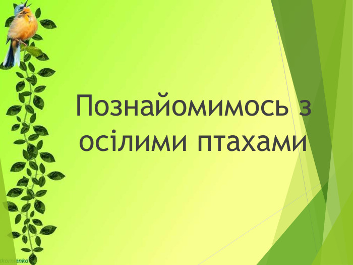 Познайомимось з осілими птахами