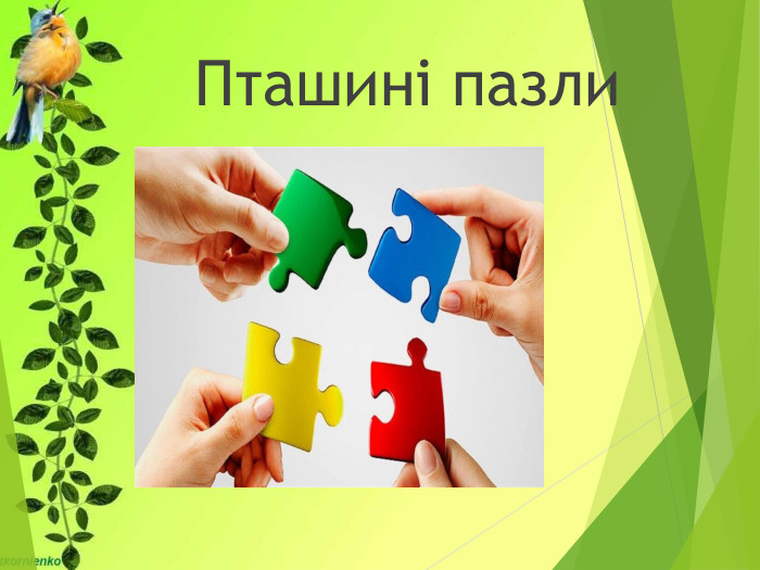 Пташині пазли