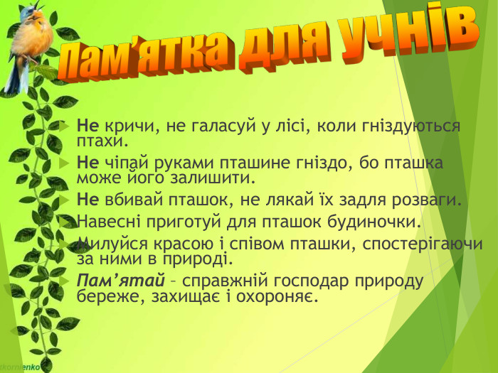 Пам’ятка для учнів Не кричи, не галасуй у лісі, коли гніздуються птахи. Не чіпай руками пташине гніздо, бо пташка може його залишити. Не вбивай пташок, не лякай їх задля розваги. Навесні приготуй для пташок будиночки. Милуйся красою і співом пташки, спостерігаючи за ними в природі. Пам’ятай – справжній господар природу береже, захищає і охороняє. 