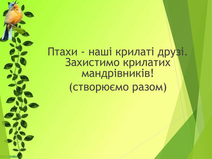Птахи - наші крилаті друзі. Захистимо крилатих мандрівників!(створюємо разом)