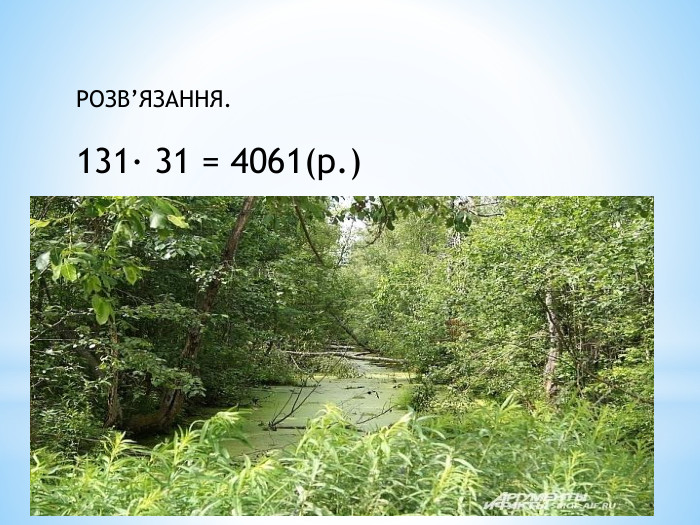 РОЗВ’ЯЗАННЯ.131∙ 31 = 4061(р.)