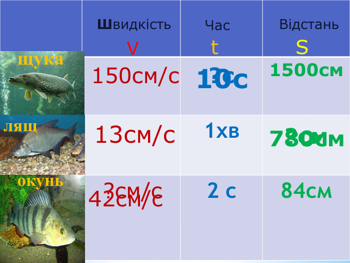 {5 C22544 A-7 EE6-4342-B048-85 BDC9 FD1 C3 A}1500см1хв 2 с84см150см/с13см/с?см/с. Швидкість Час Відстань. Vt. Sщукалящокунь?с?см10с780см42см/с