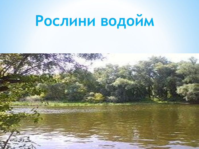 Рослини водойм