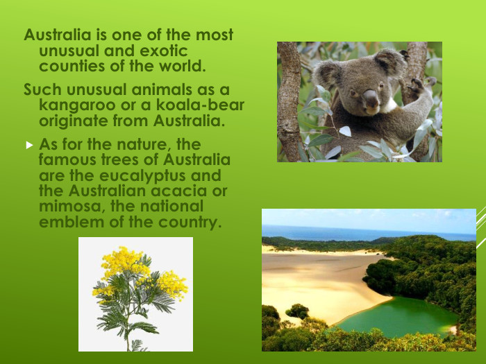 Australia is one of the most unusual and exotic counties of the world.Such unusual animals as a kangaroo or a koala-bear originate from Australia.As for the nature, the famous trees of Australia are the eucalyptus and the Australian acacia or mimosa, the national emblem of the country. 