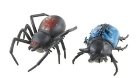 Картинки по запросу картинка паук и  жук