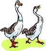 http://hddfhm.com/images/clipart-geese-4.jpg