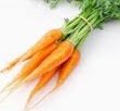 Картинки по запросу пучок морковок