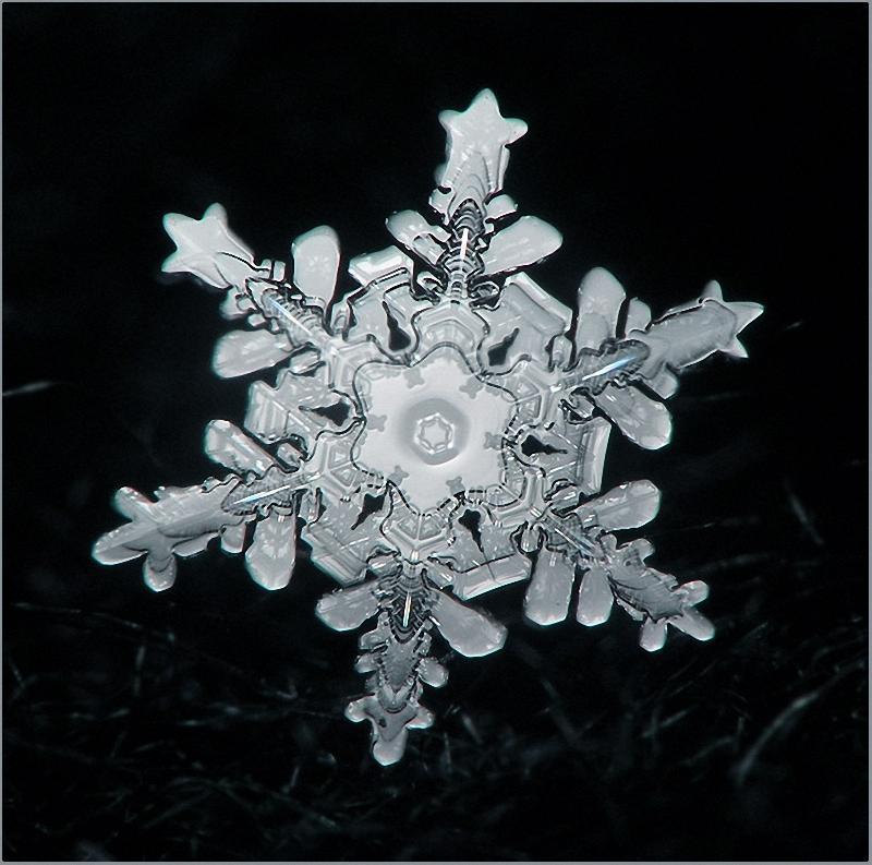 Снежинок село. Снежинки. Снежинки картинки красивые. Снежинка под микроскопом. Чудо Снежинка.