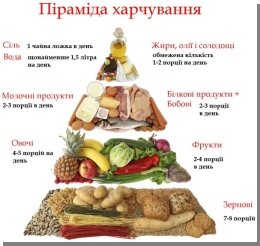 Україна взяла участь у Міжнародній конференції з харчування - Новости - "Бизнес Гид"
