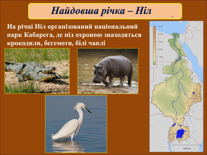 На річці Ніл організований національний парк Кабарега, де під охроною знаходяться крокодили, бегемоти, білі чаплі 