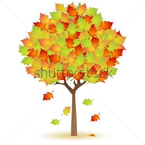 Картинки по запросу дерево осіннє