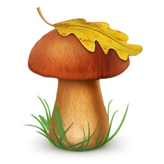 Картинки по запросу гриб рисунок