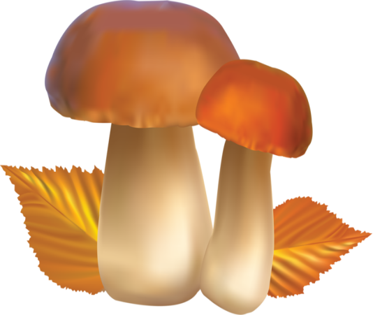 Картинки по запросу гриб рисунок