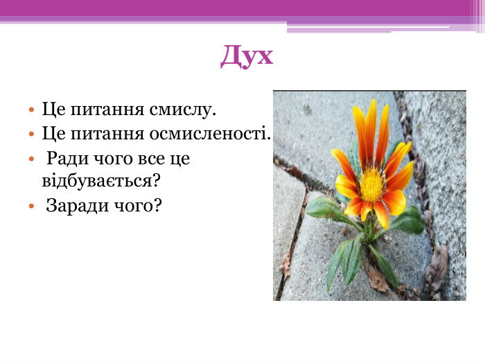 Дух. Це питання смислу. Це питання осмисленості. Ради чого все це відбувається? Заради чого?