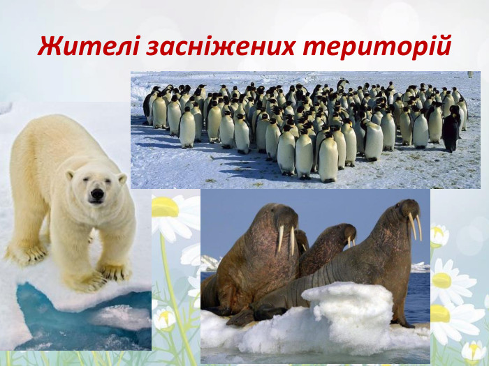 Жителі засніжених територій