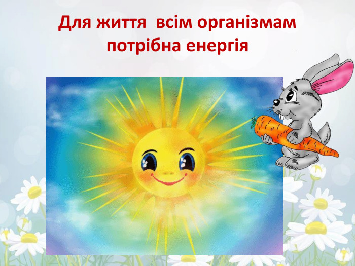 Для життя всім організмам потрібна енергія