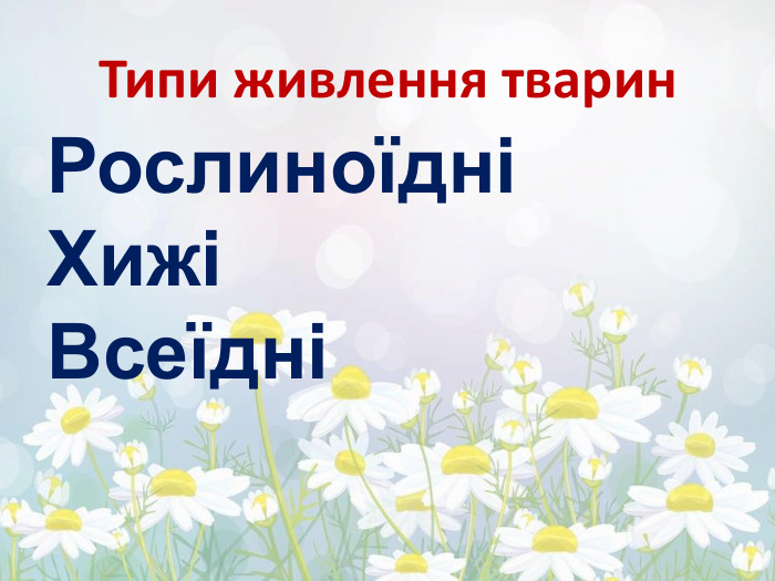 Типи живлення тварин. РослиноїдніХижіВсеїдні