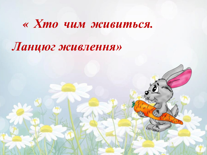 « Хто чим живиться. Ланцюг живлення»