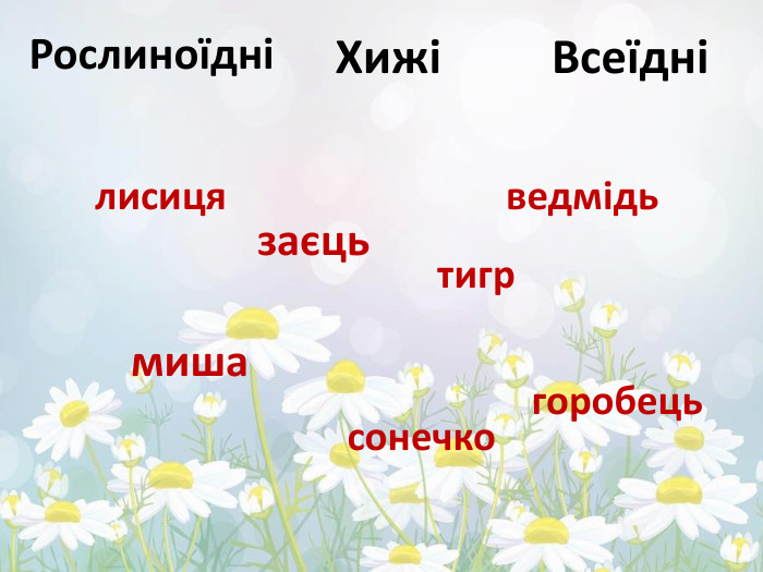 Рослиноїдні ХижіВсеїднізаєцьтигрведмідьмишалисицягоробецьсонечко