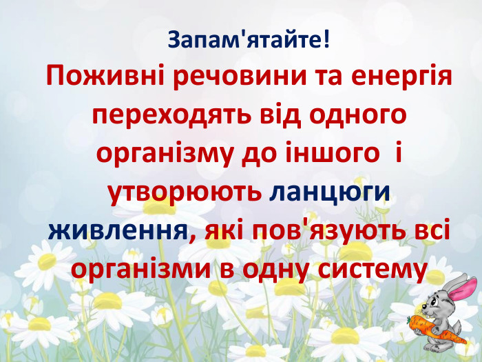 Запам'ятайте!Поживні речовини та енергія переходять від одного організму до іншого і утворюють ланцюги живлення, які пов'язують всі організми в одну систему