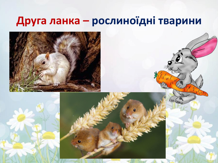 Друга ланка – рослиноїдні тварини