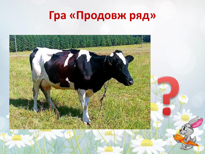 Гра «Продовж ряд»?