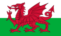 https://upload.wikimedia.org/wikipedia/commons/thumb/5/59/Flag_of_Wales_2.svg/125px-Flag_of_Wales_2.svg.png