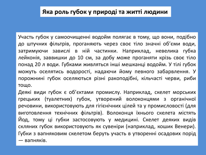 Яка роль губок у природі та житті людини. Участь губок у самоочищенні водойм полягає в тому, що вони, подібно до штучних фільтрів, проганяють через своє тіло значні об’єми води, затримуючи завислі в ній частинки. Наприклад, невелика губка лейконія, заввишки до 10 см, за добу може проганяти крізь своє тіло понад 20 л води. Губками живляться інші мешканці водойм. У тілі губок можуть оселятись водорості, надаючи йому певного забарвлення. У порожнині губок оселяються різні ракоподібні, кільчасті черви, риби тощо. Деякі види губок є об’єктами промислу. Наприклад, скелет морських грецьких (туалетних) губок, утворений волоконцями з органічної речовини, використовують для гігієнічних цілей та у промисловості (для виготовлення технічних фільтрів). Волоконця їхнього скелета містять Йод, тому ці губки застосовують у медицині. Скелет деяких видів скляних губок використовують як сувеніри (наприклад, кошик Венери). Губки з вапняковим скелетом беруть участь в утворенні осадових порід — вапняків.