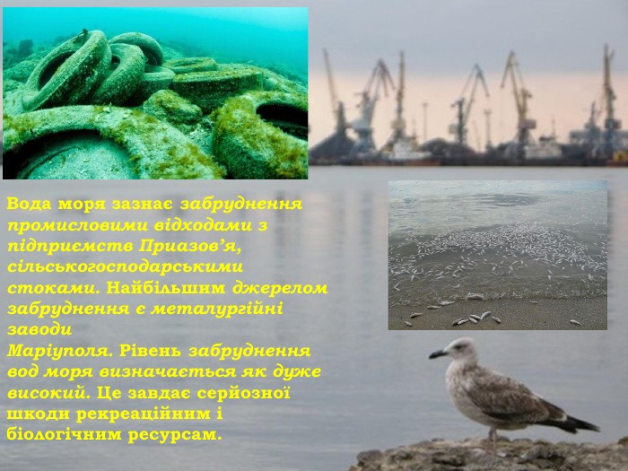 Вода моря зазнає забруднення промисловими відходами з підприємств Приазов’я, сільськогосподарськими стоками. Найбільшим джерелом забруднення є металургійні заводи Маріуполя. Рівень забруднення вод моря визначається як дуже високий. Це завдає серйозної шкоди рекреаційним і біологічним ресурсам.