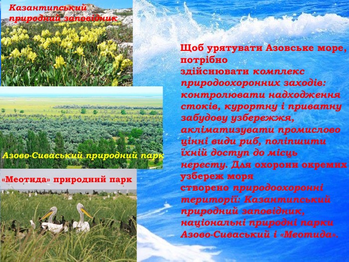 Щоб урятувати Азовське море, потрібно здійснювати комплекс природоохоронних заходів: контролювати надходження стоків, курортну і приватну забудову узбережжя, акліматизувати промислово цінні види риб, поліпшити їхній доступ до місць нересту. Для охорони окремих узбереж моря створено природоохоронні території: Казантипський природний заповідник, національні природні парки Азово-Сиваський і «Меотида». Казантипський природний заповідник. Азово-Сиваський природний парк«Меотида» природний парк