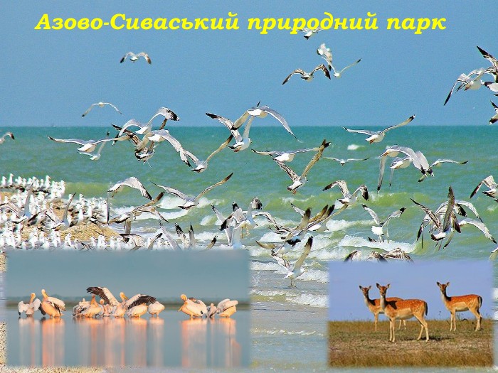 Азово-Сиваський природний парк