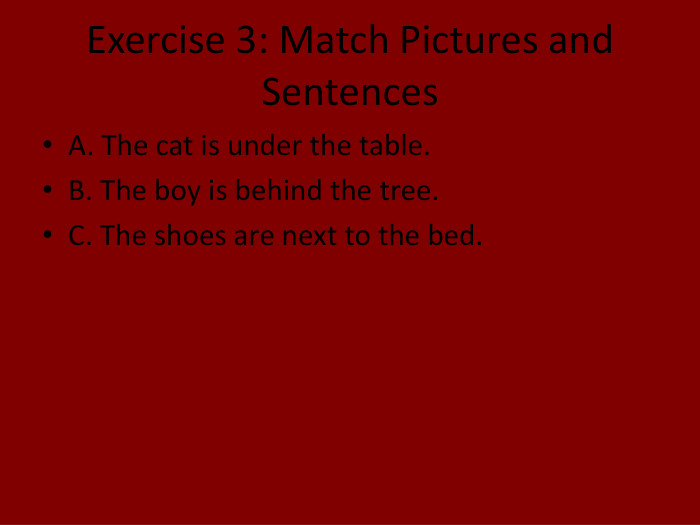 Exercise 3: Match Pictures and Sentences. A. The cat is under the table. B. The boy is behind the tree. C. The shoes are next to the bed.
