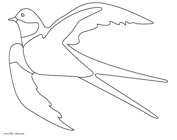 http://www.abc-color.com/image/coloring/birds/001/swallow/swallow-bitmap-coloring.png
