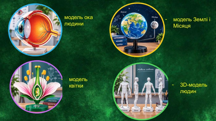 модель ока людини модель квітки модель Землі і Місяця 3 D-модель людин 