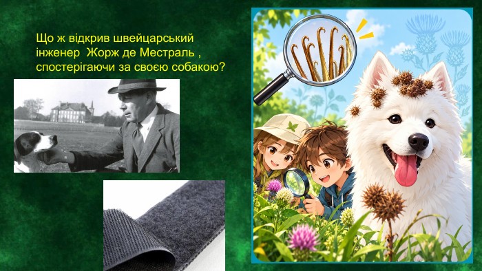 Що ж відкрив швейцарський інженер Жорж де Местраль , спостерігаючи за своєю собакою?