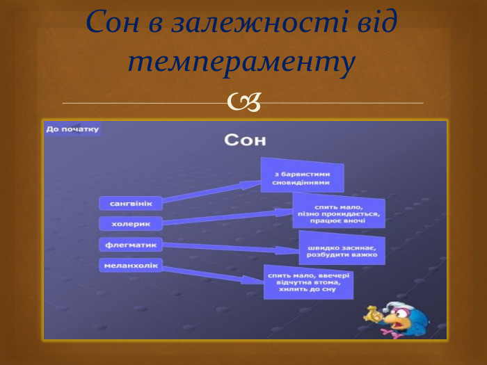 Сон в залежності від темпераменту