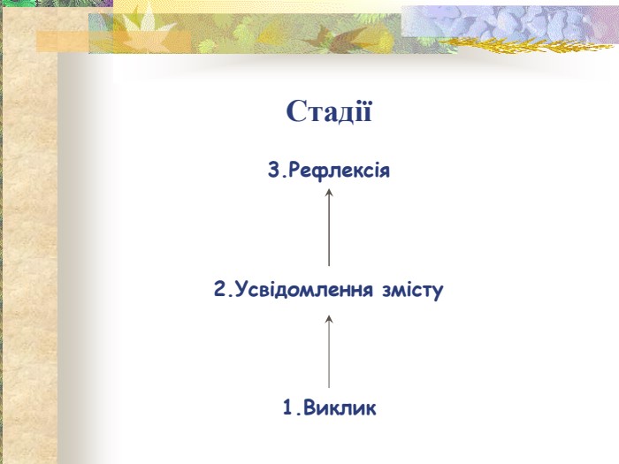 Стадії  3.Рефлексія    2.Усвідомлення змісту    1.Виклик   