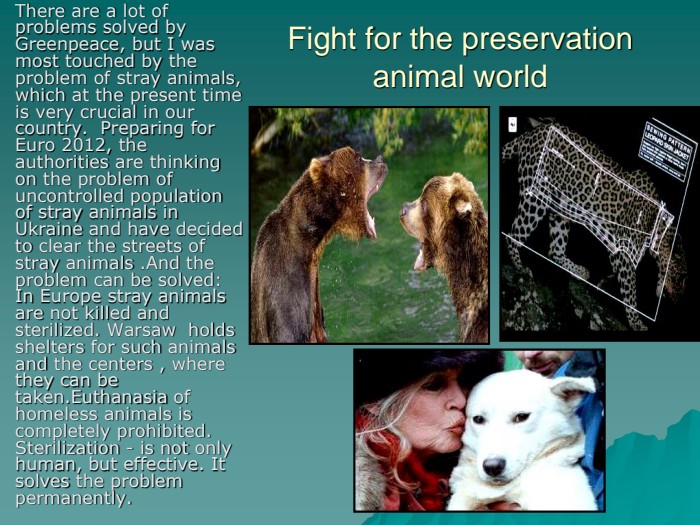 Fight for the preservation animal world There are a lot of problems solved by Greenpeace, but I was most touched by the problem of stray animals, which at the present time is very crucial in our country.  Preparing for Euro 2012, the authorities are thinking on the problem of uncontrolled population of stray animals in Ukraine and have decided to clear the streets of stray animals .And the problem can be solved: In Europe stray animals are not killed and sterilized. Warsaw  holds  shelters for such animals and the centers , where they can be taken.Euthanasia of homeless animals is completely prohibited. Sterilization - is not only human, but effective. It solves the problem permanently. 