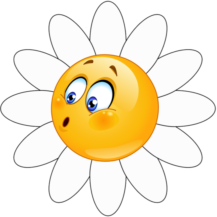 C:\Users\Admin\Desktop\мій настрій яблука\398-3986098_simple-white-daisy-flower-vector-illustration-sticker-.png
