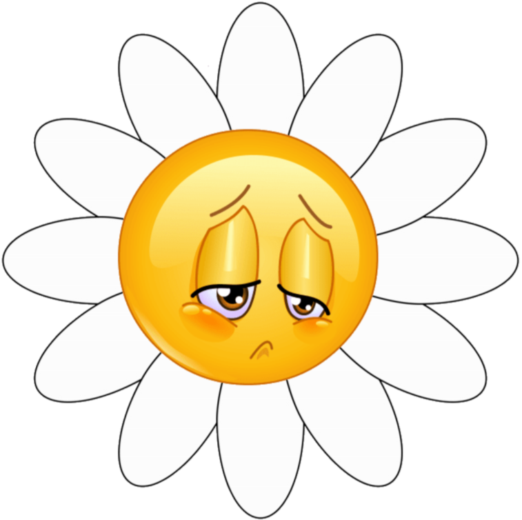 C:\Users\Admin\Desktop\мій настрій яблука\398-3986098_simple-white-daisy-flower-vector-illustration-sticker-sunf.png