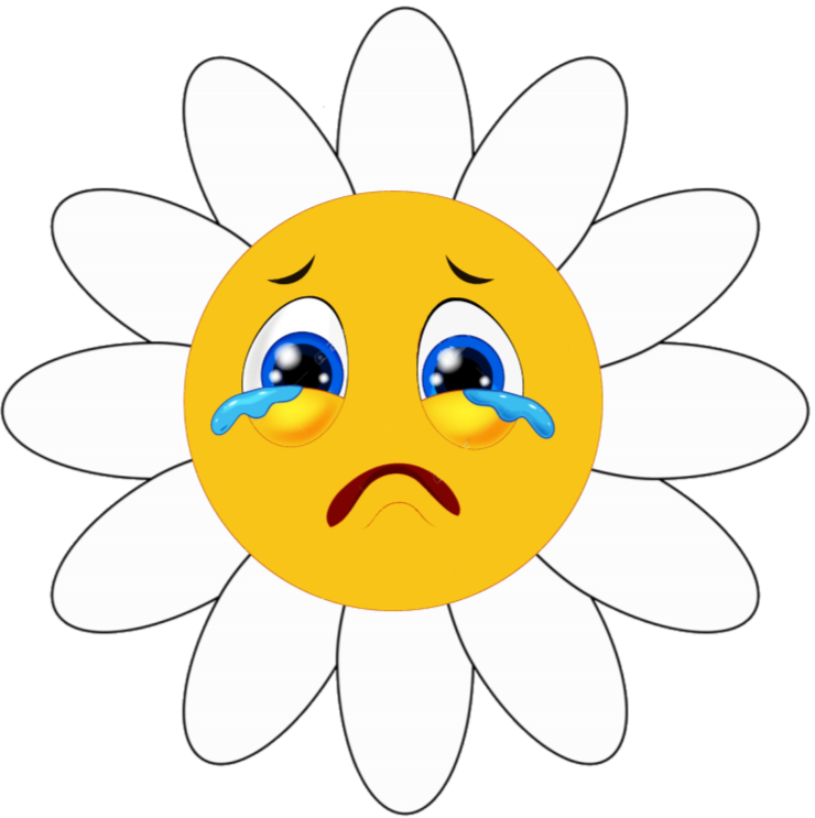 C:\Users\Admin\Desktop\мій настрій яблука\398-3986098_simple-white-daisy-flower-vector-illustration-sticker-sunflo.png
