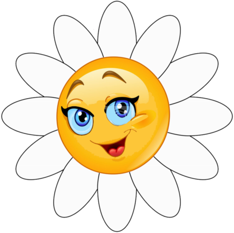 C:\Users\Admin\Desktop\мій настрій яблука\398-3986098_simple-white-daisy-flower-vector-illustration-stic.png