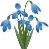 D:\диск е\НАДЕЖДА\для презентаций\вставки растения\цветы\depositphotos_97981282-stock-illustration-spring-flower-snowdrop.png
